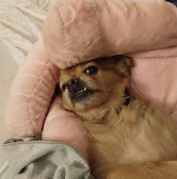 Meet your Posher, Lynn - Picture 1 of 1